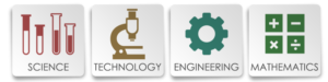 stem